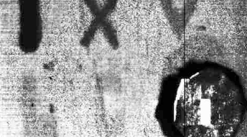 FIGURE 1. An image shows a polyester fabric with lettering made from blood, with &ldquo;I&rdquo; at full concentration and &ldquo;X,&rdquo; &ldquo;V,&rdquo; &ldquo;L,&rdquo; and &ldquo;C&rdquo; made from blood at 10-, 25-, 50-, and 100-fold dilutions. The image was made using in-phase detection of an AC (alternating-current)-modulated reflectance. The object in the lower right is a reflectance reference for phase detection.