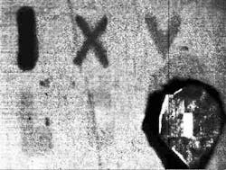 FIGURE 1. An image shows a polyester fabric with lettering made from blood, with “I” at full concentration and “X,” “V,” “L,” and “C” made from blood at 10-, 25-, 50-, and 100-fold dilutions. The image was made using in-phase detection of an AC (alternating-current)-modulated reflectance. The object in the lower right is a reflectance reference for phase detection. FIGURE 1. An image shows a polyester fabric with lettering made from blood, with “I” at full concentration and “X,” “V,” “L,” and “C” made from blood at 10-, 25-, 50-, and 100-fold dilutions. The image was made using in-phase detection of an AC (alternating-current)-modulated reflectance. The object in the lower right is a reflectance reference for phase detection.