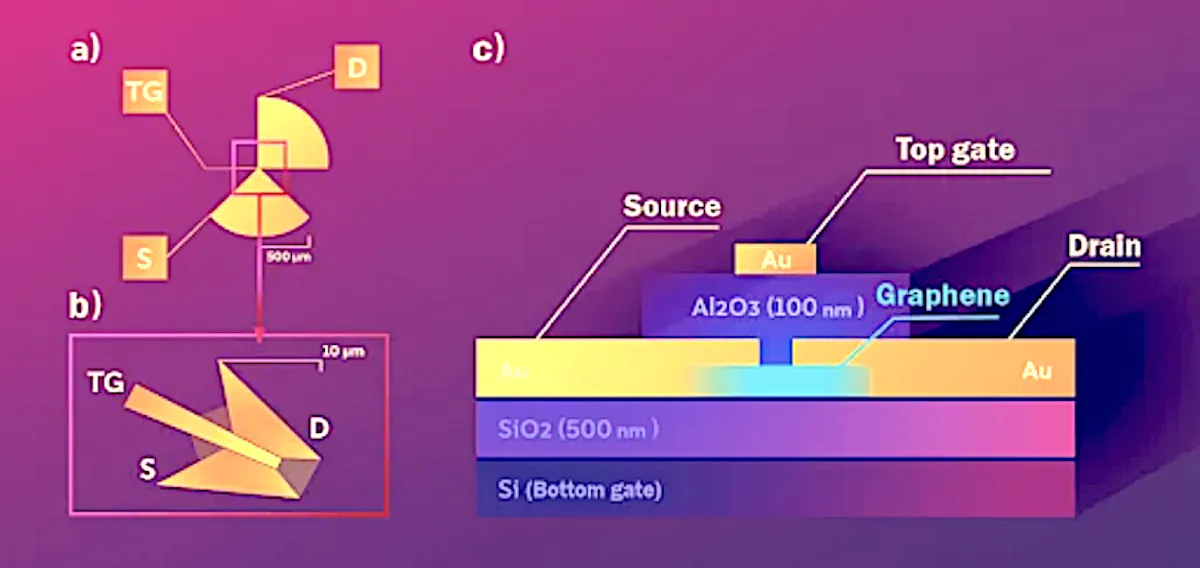 Graphene detector reveals polarization of terahertz light | Laser Focus ...