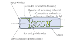 FIGURE 1. Schematic of a photomultiplier tube (PMT); this example is of an end-on tube.