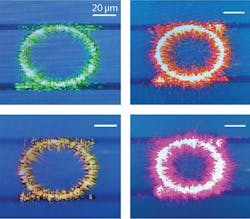 2011 Lfw Nb2 5fa1d13d0af5c 2011 Lfw Nb2 5fa1d13d0af5c