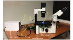 Coupling of a solid-state light engine to an inverted fluorescence microscope. Locations 1–5 marked in yellow correspond to the points in the light path used for throughput measurements reported in the table. The green line shows the direction of the light path from the collimating adapter input to the sample plane. Coupling of a solid-state light engine to an inverted fluorescence microscope. Locations 1–5 marked in yellow correspond to the points in the light path used for throughput measurements reported in the table. The green line shows the direction of the light path from the collimating adapter input to the sample plane.