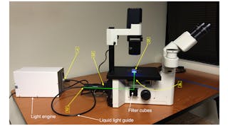 Coupling of a solid-state light engine to an inverted fluorescence microscope. Locations 1&ndash;5 marked in yellow correspond to the points in the light path used for throughput measurements reported in the table. The green line shows the direction of the light path from the collimating adapter input to the sample plane.