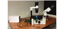 Coupling of a solid-state light engine to an inverted fluorescence microscope. Locations 1–5 marked in yellow correspond to the points in the light path used for throughput measurements reported in the table. The green line shows the direction of the light path from the collimating adapter input to the sample plane. Coupling of a solid-state light engine to an inverted fluorescence microscope. Locations 1–5 marked in yellow correspond to the points in the light path used for throughput measurements reported in the table. The green line shows the direction of the light path from the collimating adapter input to the sample plane.