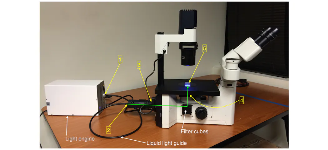 Led Collimation Microscope Light Path Optimizing solid-state illumination, from source to sample plane ...