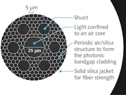 FIGURE 1. The cross-section of a hollow-core photonic-crystal fiber shows the core, lattice structure, and shunts.