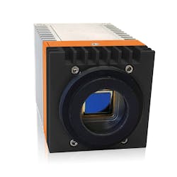 Wildcat 5fa9a13a43e10 Wildcat 5fa9a13a43e10