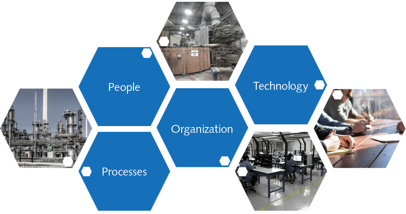 2101 Lfw Ils Pet F1 5fff65e1adedb