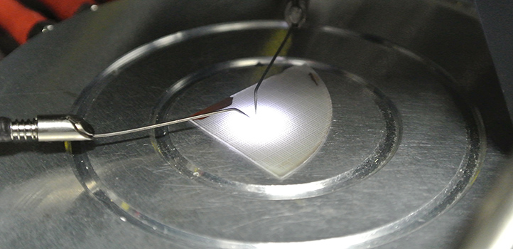 2101 Lfw Nb 1 5fe266f9436be