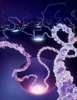 FIGURE 2. Zero mode waveguides help isolate DNA for sequencing. FIGURE 2. Zero mode waveguides help isolate DNA for sequencing.