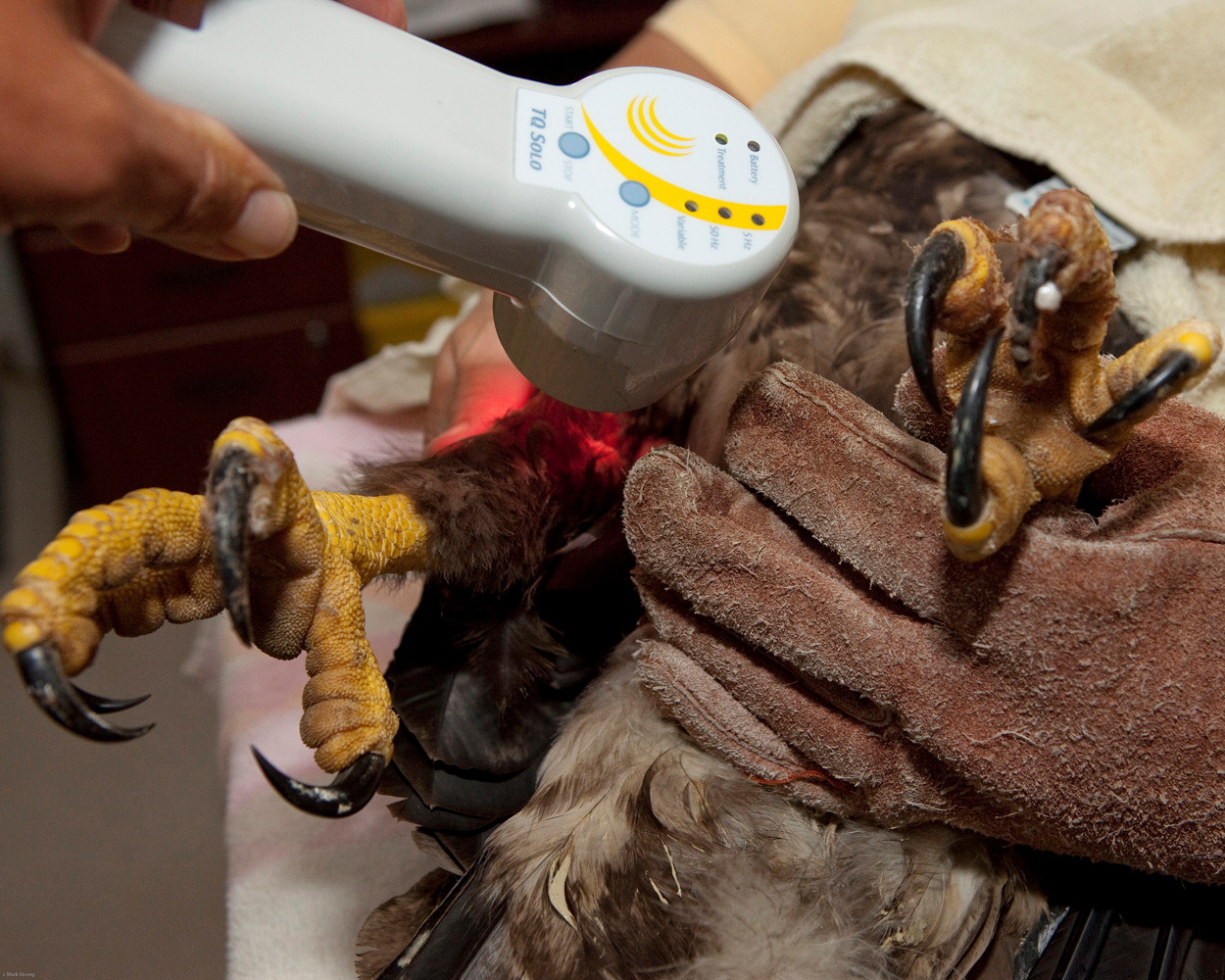 100708end Fig 6000b91cd12d7