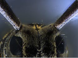 1009 Inside Instru Fig2 Rightr 1009 Inside Instru Fig2 Rightr