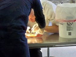 Erik Dorsch, DVM, of The Animal Hospital of Carrboro (Carrboro, NC), excises the fibrosarcoma from Frank the goldfish using a Type 1 Class B CO2 laser, which cauterizes nerve endings to alleviate bleeding and eliminates the need for sutures. Erik Dorsch, DVM, of The Animal Hospital of Carrboro (Carrboro, NC), excises the fibrosarcoma from Frank the goldfish using a Type 1 Class B CO2 laser, which cauterizes nerve endings to alleviate bleeding and eliminates the need for sutures.