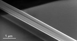 FIGURE 1. Nanobeam cavities trap light in a sensor that could detect thousands of different molecules—all from a single chip. FIGURE 1. Nanobeam cavities trap light in a sensor that could detect thousands of different molecules—all from a single chip.