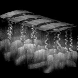 FIGURE 3. By combining a collection of two-dimensional images, Rolland's microscope can create three-dimensional images, such as this one that shows the zigzag-looking ducts for sweat glands. FIGURE 3. By combining a collection of two-dimensional images, Rolland's microscope can create three-dimensional images, such as this one that shows the zigzag-looking ducts for sweat glands.