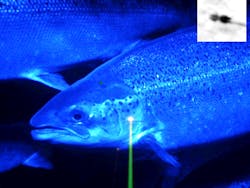 1407end Fig2 5ffdba1c37fd2 1407end Fig2 5ffdba1c37fd2