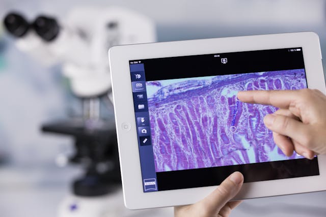FIGURE 2. The Labscope app simplifies image analysis, especially in a teaching environment.