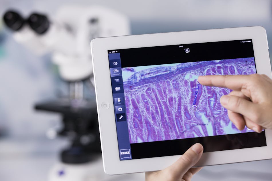 FIGURE 2. The Labscope app simplifies image analysis, especially in a teaching environment.