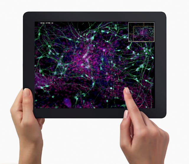 FIGURE 3. The OlyVIA app lets users tap and swipe microscope images for education and research.