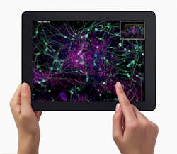 FIGURE 3. The OlyVIA app lets users tap and swipe microscope images for education and research. FIGURE 3. The OlyVIA app lets users tap and swipe microscope images for education and research.