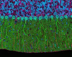 1501end Fig2 5ffdce565eb86 1501end Fig2 5ffdce565eb86