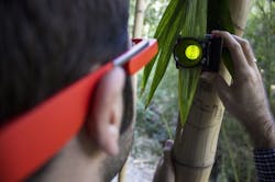 The Google Glass app and illuminator allows analysis of chlorophyll concentration quickly, inexpensively, and without harming the plant. The Google Glass app and illuminator allows analysis of chlorophyll concentration quickly, inexpensively, and without harming the plant.