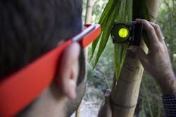 The Google Glass app and illuminator allows analysis of chlorophyll concentration quickly, inexpensively, and without harming the plant.