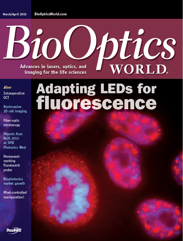 Volume 8, Issue 2 cover image