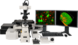 1511 Lfw Bow Nb 3 1511 Lfw Bow Nb 3