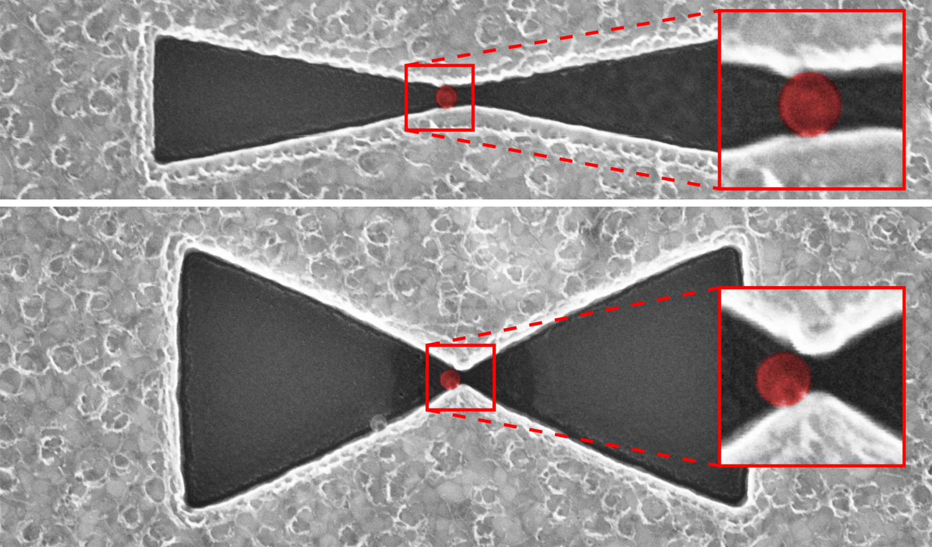 Ultrafine silica particles are trapped in bowtie nanoapertures, enhancing phonon resonances that improve detection and analysis using surface-enhanced infrared absorption (SEIRA) spectroscopy.