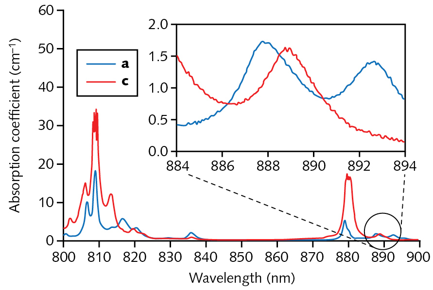 FIGURE 1. Near-infrared absorption spectrum of Nd:YVO4. For many years, laser designers exclusively targeted pumping the strong peak at 808 nm. The crystal is normally pumped along its b-axis, and the separate plots refer to light polarized to the a- and c-axes.
