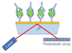 FIGURE 2. Schematic representation of an SPR sensor functionalized for detecting anti-SARS-CoV-2 antibodies. FIGURE 2. Schematic representation of an SPR sensor functionalized for detecting anti-SARS-CoV-2 antibodies.