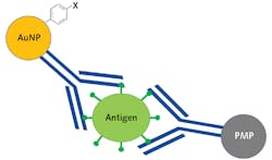 FIGURE 4. Schematic representation of Bio-Stream Diagnostics magnetic SERS assay functionalized for SARS-CoV-2. FIGURE 4. Schematic representation of Bio-Stream Diagnostics magnetic SERS assay functionalized for SARS-CoV-2.