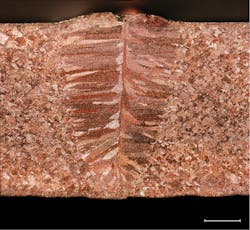 2103 Lfw Ils Kle 3 2103 Lfw Ils Kle 3