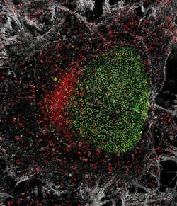With super-resolution STED microscopy, details of a cell can be focused down to under 50 nm. This image shows the pores of a cell nucleus (stained green), single protein molecules (red), and fibers of a cytoskeleton (white) in a HeLa cell.