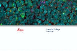 Csm Header 32 Imperial Dad5ac29f2 601c01ad81aba Csm Header 32 Imperial Dad5ac29f2 601c01ad81aba