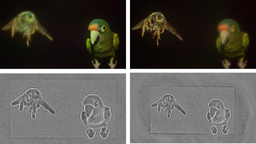A camera-in-the-loop (CITL) optimization process improves holographic images. Top images show captured near- and far-plane focal images acquired with the optimization process while the bottom images show the two phase images used to create the hologram.