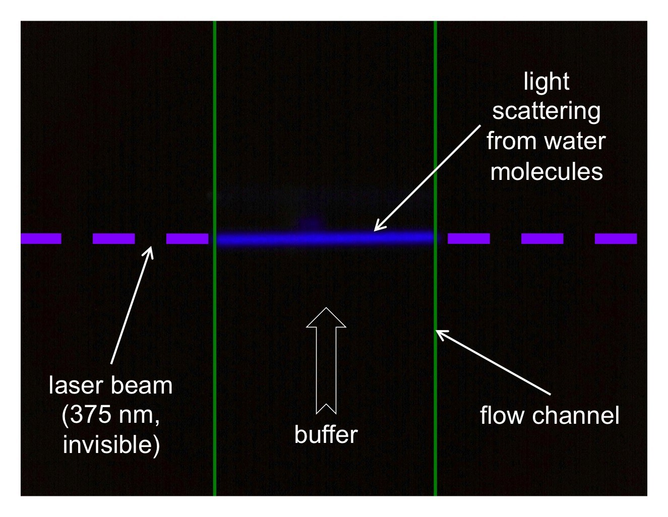 The Tiber technology is based on a pulsed UV laser for label-free excitation of biomolecules. The laser beam, which invisible to both the eye and most cameras, shows up in this image as deep blue due to Raman scattering from water molecules in the flow channel of the Tiber instrument. The instrument sensitivity is such that this normally undetectable signal has to be specially filtered out.