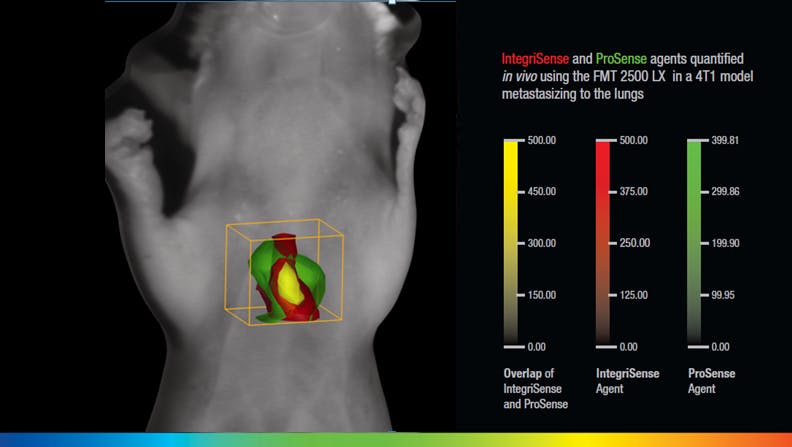 PHOTONICS APPLIED: BIOPHOTONICS: Molecules can't hide from the newest ...