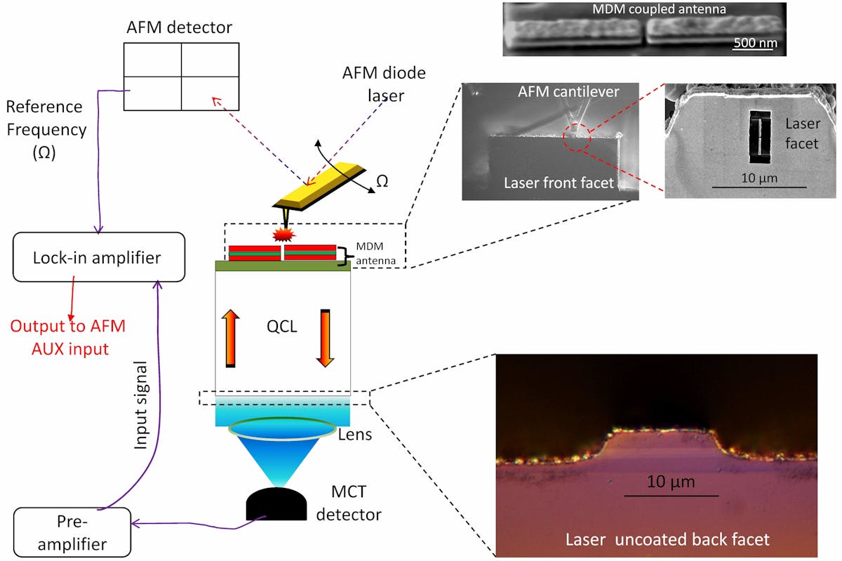 A near-field scanning-optical microscope is used to measure the electromagnetic field enhancement enabled by a plasmonic nano-antenna coupled to the front facet of a quantum cascade laser. The local field enhancement makes the device promising for future mid-IR biosensor applications.