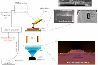 A near-field scanning-optical microscope is used to measure the electromagnetic field enhancement enabled by a plasmonic nano-antenna coupled to the front facet of a quantum cascade laser. The local field enhancement makes the device promising for future mid-IR biosensor applications.