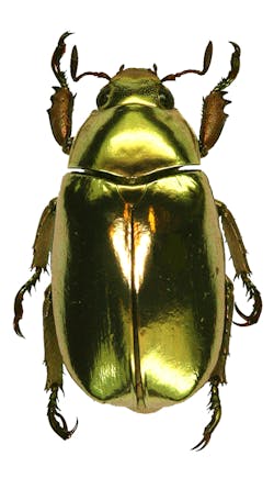 1106breaks Fig2a 603d3cb2c855e 1106breaks Fig2a 603d3cb2c855e