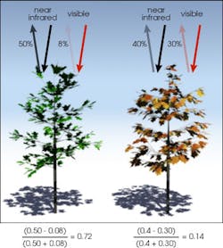 FIGURE 2. Normalized Difference Vegetation Index (NDVI) values are calculated from the amount of visible (VIS) and near-infrared (NIR) light reflected by plants. FIGURE 2. Normalized Difference Vegetation Index (NDVI) values are calculated from the amount of visible (VIS) and near-infrared (NIR) light reflected by plants.