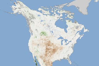 FIGURE 4. A drought map from NASA based on NDVI satellite data from the MODIS spectroradiometer contrasts plant health in August 2012 against average conditions from 2002-2012. Brown areas show where plant growth was below normal; greens indicate vegetation that is more widespread or abundant than normal for the time of year; and grays depict areas where data was not available.
