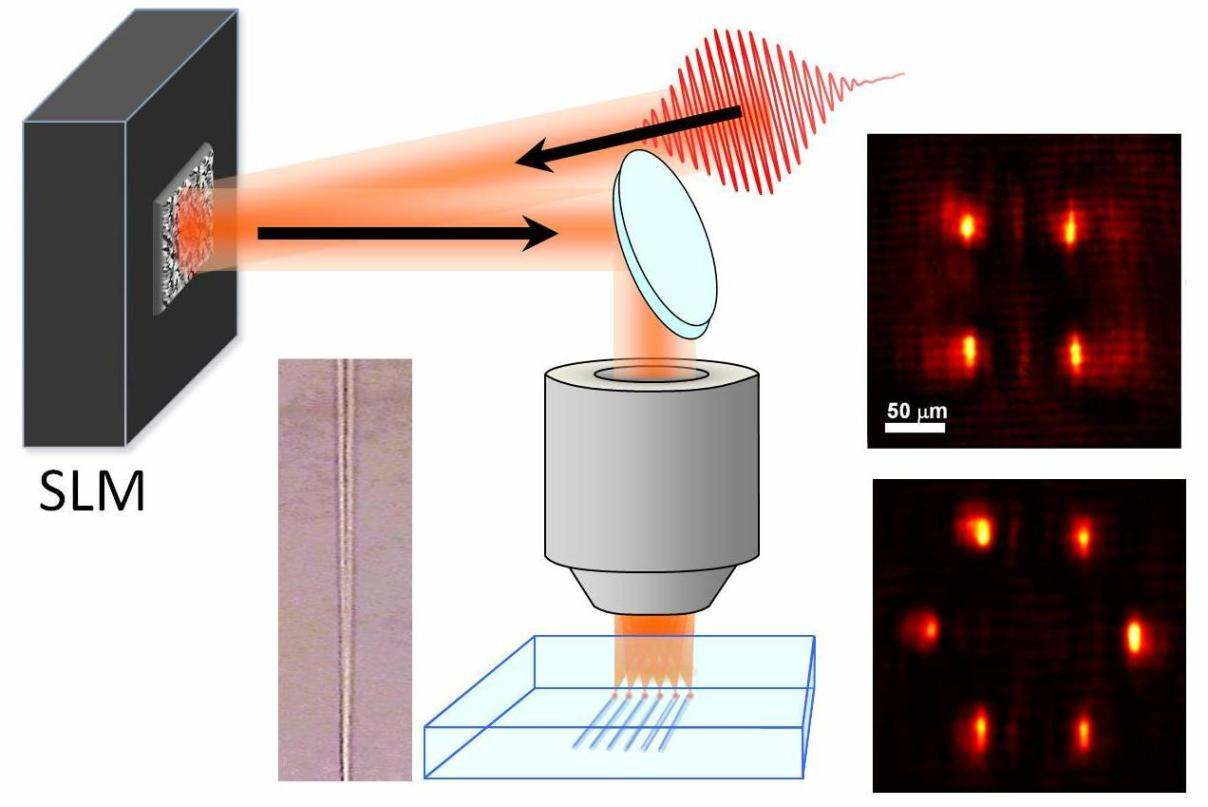 Spatial Modulation Of Femtosecond Laser Writes 3D Waveguides In Glass ...