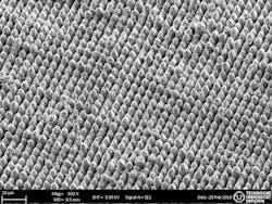 X M3 50% 50%0 001 T 08 X M3 50% 50%0 001 T 08