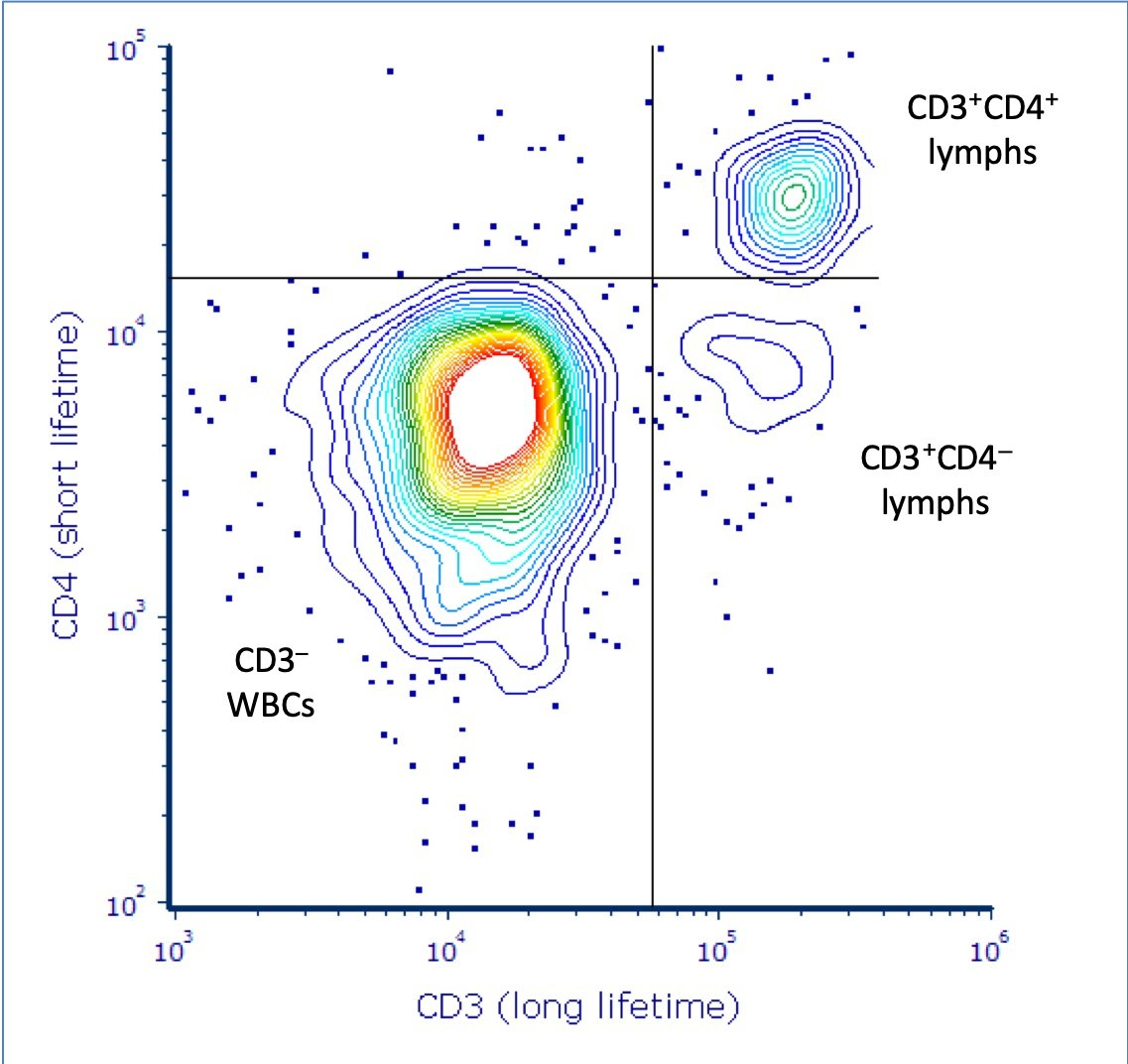 Kinetic River 605cc658b2d69