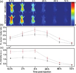 FIGURE 1. Nanocomplexes delivered in vivo are observed with near-IR fluorescence imaging of mice for control, low HER 2 expressing tumors (top row) and HER 2 expressing tumors (bottom row). HER 2 is a type of antibody that targets breast cancer. The animals were imaged at 0.3, 2, 4, 24, 48, and 72 hours postinjection. Fluorescence intensity comparison of tumors between the HER 2 expressing tumors and control shows a 71.5% increase in signal at 4 h in HER 2 expressing over the control tumors. The dotted line is a guide to the eye. FIGURE 1. Nanocomplexes delivered in vivo are observed with near-IR fluorescence imaging of mice for control, low HER 2 expressing tumors (top row) and HER 2 expressing tumors (bottom row). HER 2 is a type of antibody that targets breast cancer. The animals were imaged at 0.3, 2, 4, 24, 48, and 72 hours postinjection. Fluorescence intensity comparison of tumors between the HER 2 expressing tumors and control shows a 71.5% increase in signal at 4 h in HER 2 expressing over the control tumors. The dotted line is a guide to the eye.