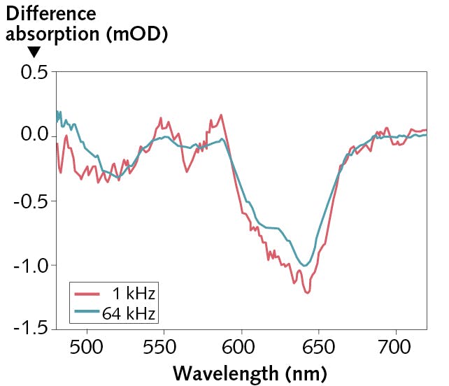 FIGURE 4. A comparison of transient absorption signal quality at laser repetition rates of 1 kHz vs. 64 kHz; the intensities of excitation pulses were adjusted to produce the signals of identical magnitude.
