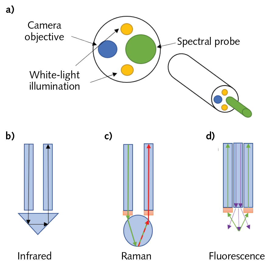 FIGURE 1. Schematic representation of the distal end of a spectroscopic endoscope (a), along with the schematic representation of typical spectral probe configuration for infrared (b), Raman (c), and fluorescence spectroscopy (d).